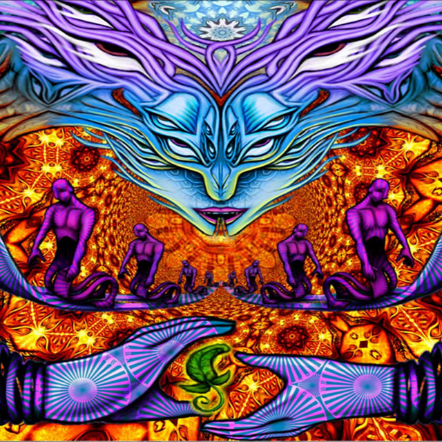 Lsd Tentation