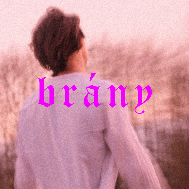 Brány cover art