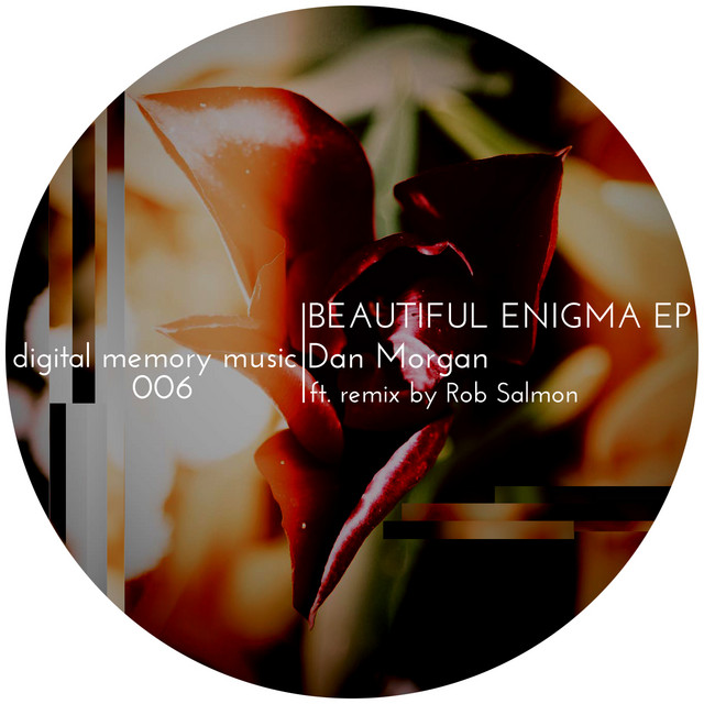 Beautiful Enigma cover