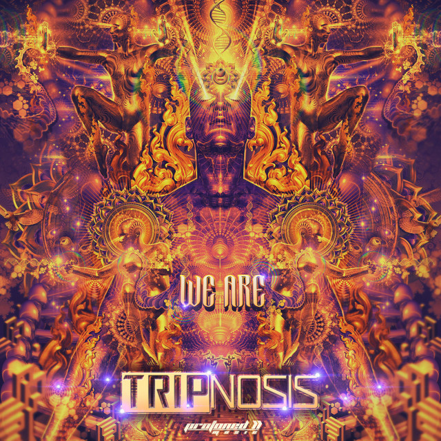 We Are cover art