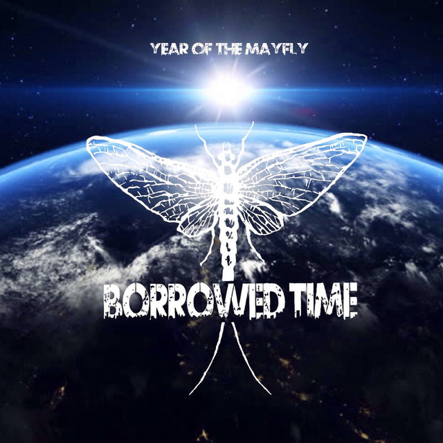 Year of the Mayfly cover art