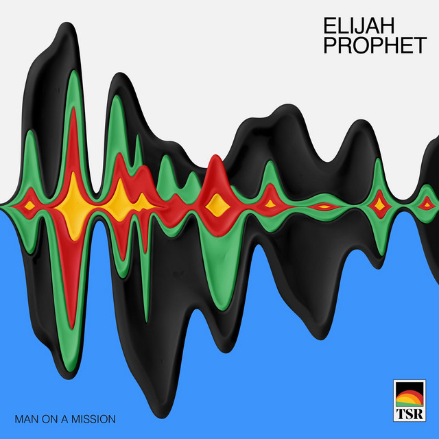 Man on a Mission cover art