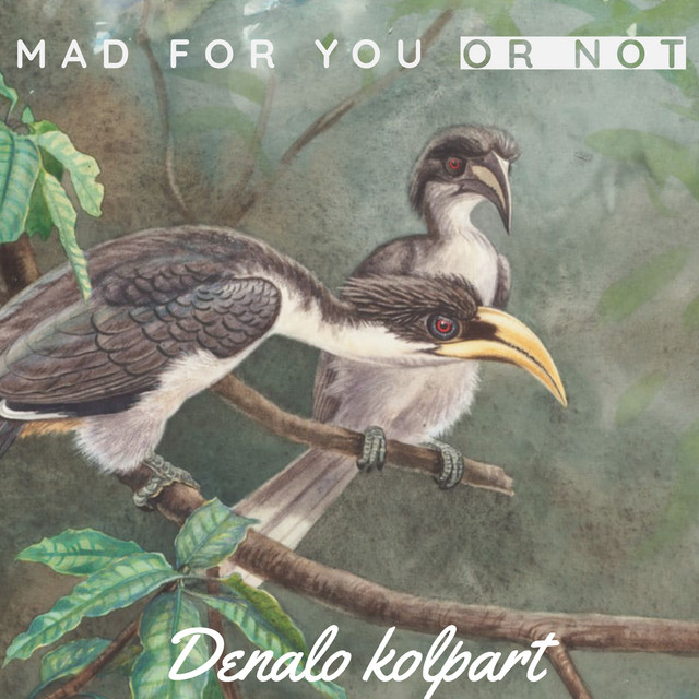 Mad for you or not - EP by Denalo kolpart | Spotify