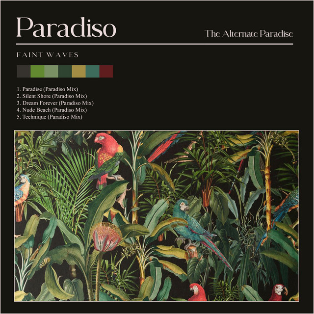 Paradiso (Paradiso Mix) cover art