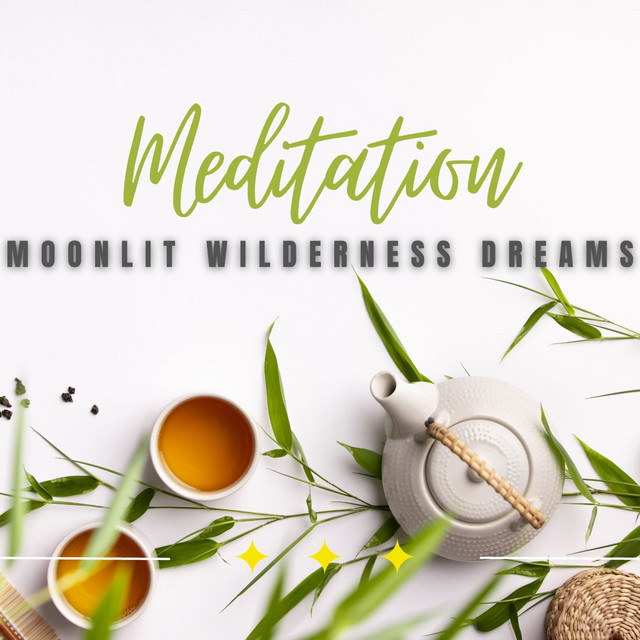 Moonlit Wilderness Dreams: Relaxation Under the Stars cover art