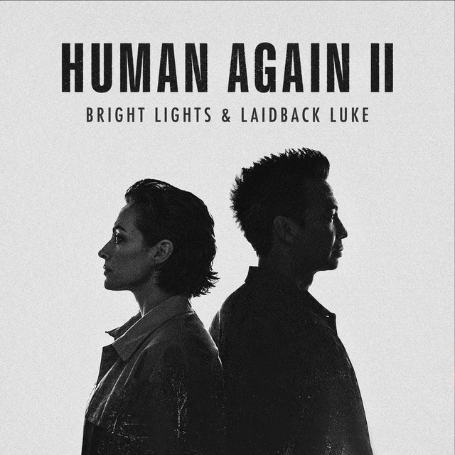 HUMAN AGAIN II artwork