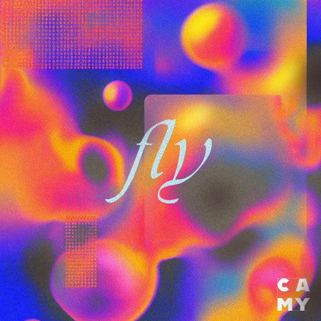 Fly cover art