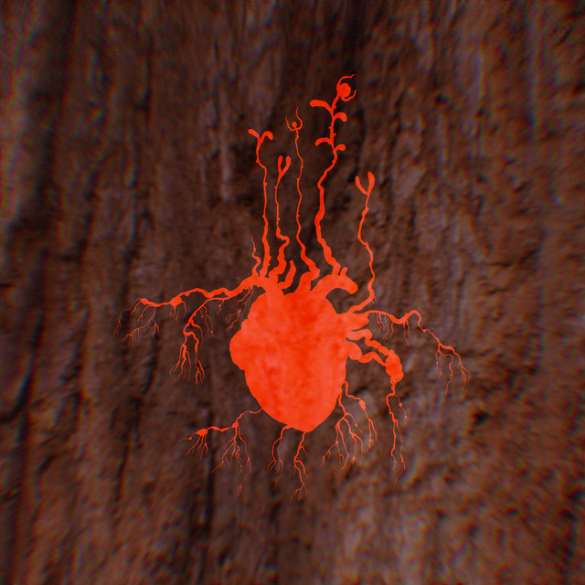 Løvehjerte cover