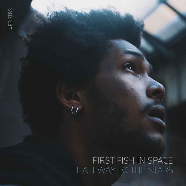 Halfway to the Stars - Single by First Fish In Space | Spotify