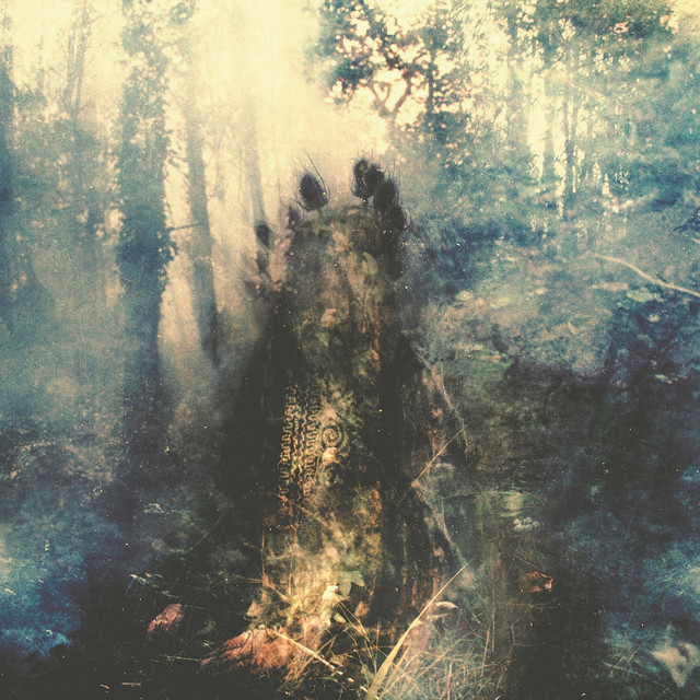 Wistful cover art