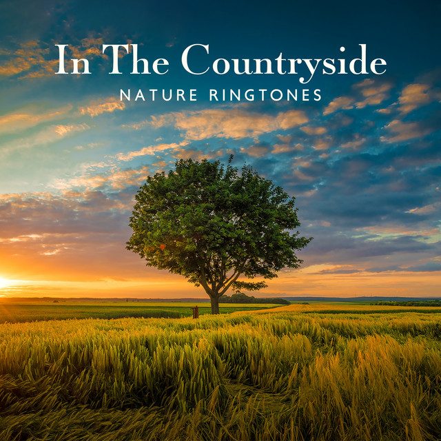In The Countryside - Nature Ringtones: Calming Sounds of Rain, Chirping Birds and Wind for Mind Tension Reduction, Anxiety Relief, Insomnia Help, Spirituality & Tranquility, Better Mood cover art