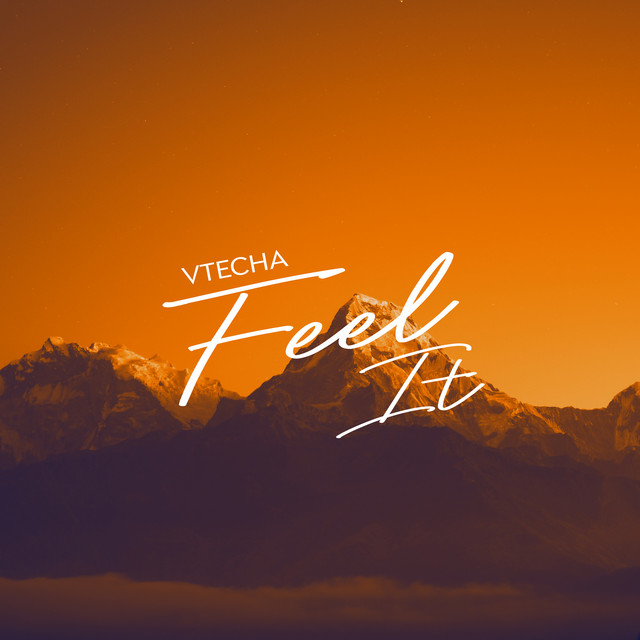 Обкладинка Vtecha — Feel It