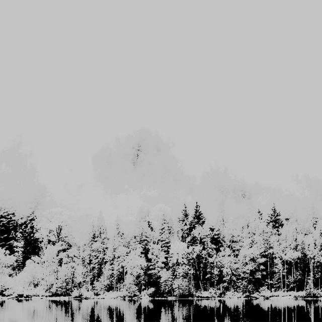 Immersion cover art