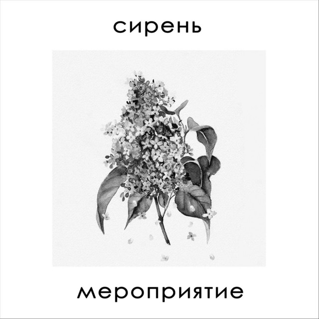 Cover art: Сирень — Мероприятие