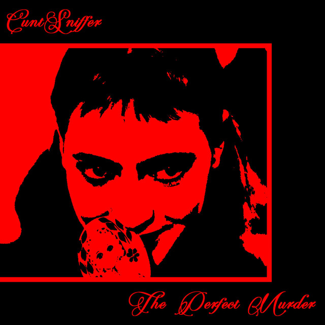 The Perfect Murder cover art
