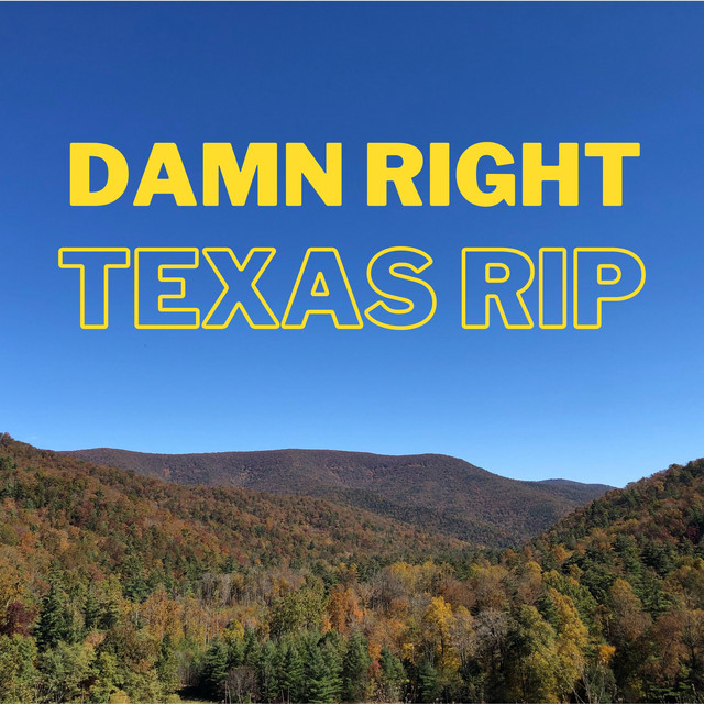 Damn Right - Single by Texas Rip | Spotify