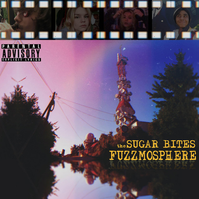 Fuzzmosphere cover art