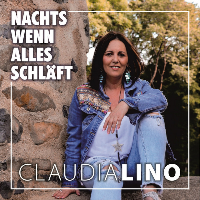 Nachts wenn alles schläft cover