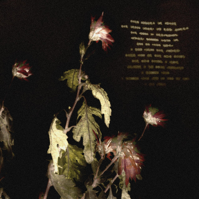 deadman's garden