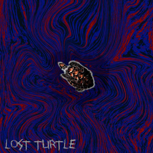 lost turtle cover art