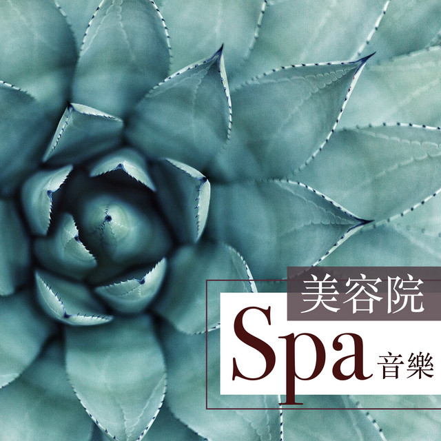 美容院spa音樂 鋼琴曲和大自然聲音為了休息和安靜下來 Album By 芳香 Spotify