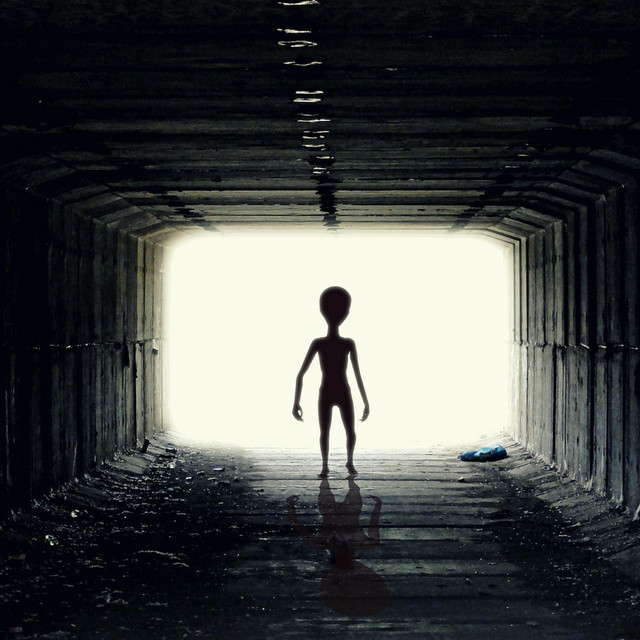 Visitor — cover art