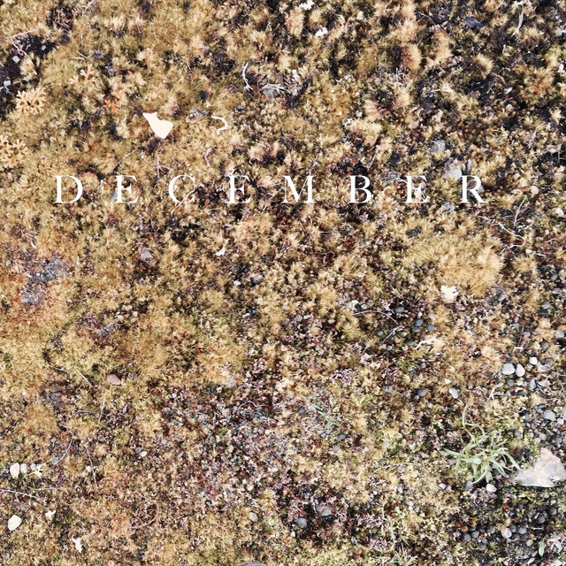 D E C E M B E R (single)