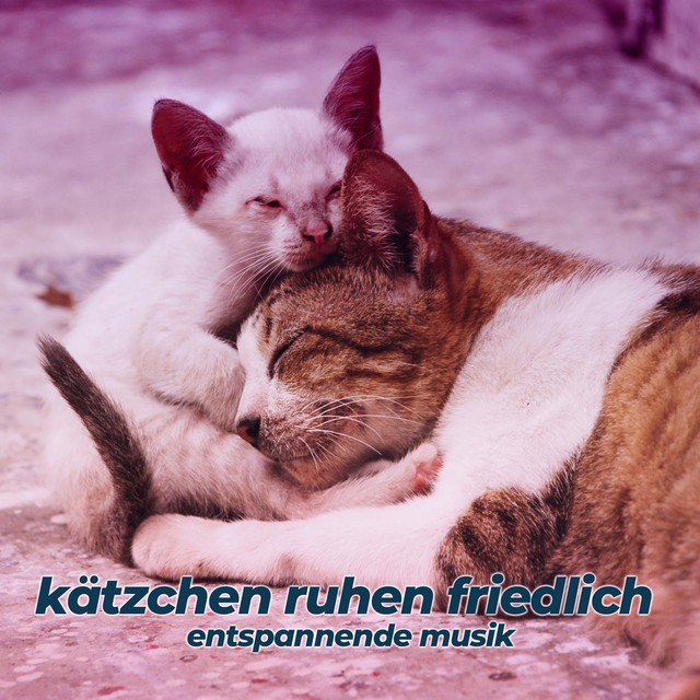 Kätzchen ruhen friedlich (Entspannende Musik) cover