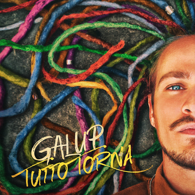 Tutto torna cover art