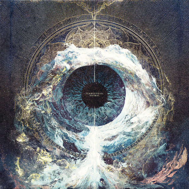 Beneath the Ocean of Names: Where a Mind Once Held the Sky