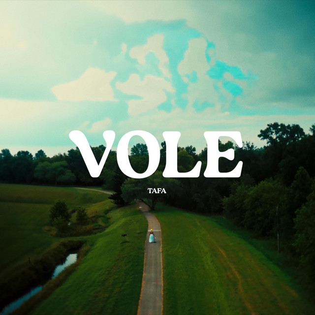 Vole album image
