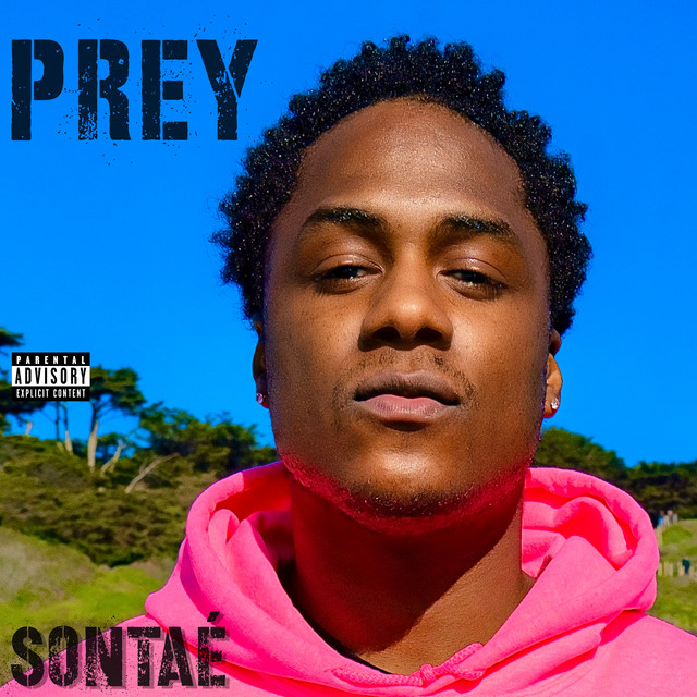 PREY - Single by Sontaé | Spotify