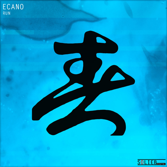 Run (Remastered) album image