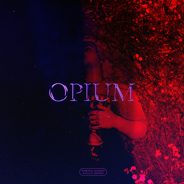 Cover art: HOPE LUV? — SUPPALUV