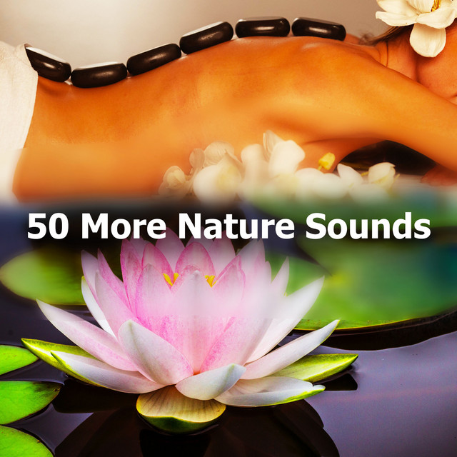 50 More Nature Sounds - Album by Spa Music Paradise | Spotify