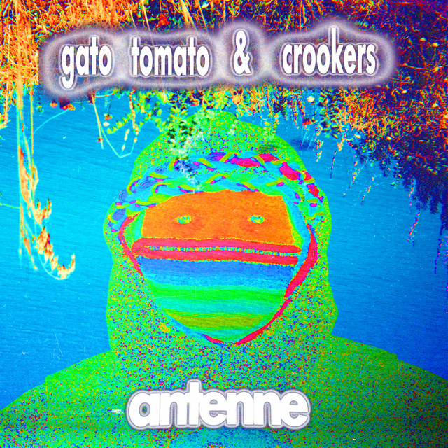 Antenne cover