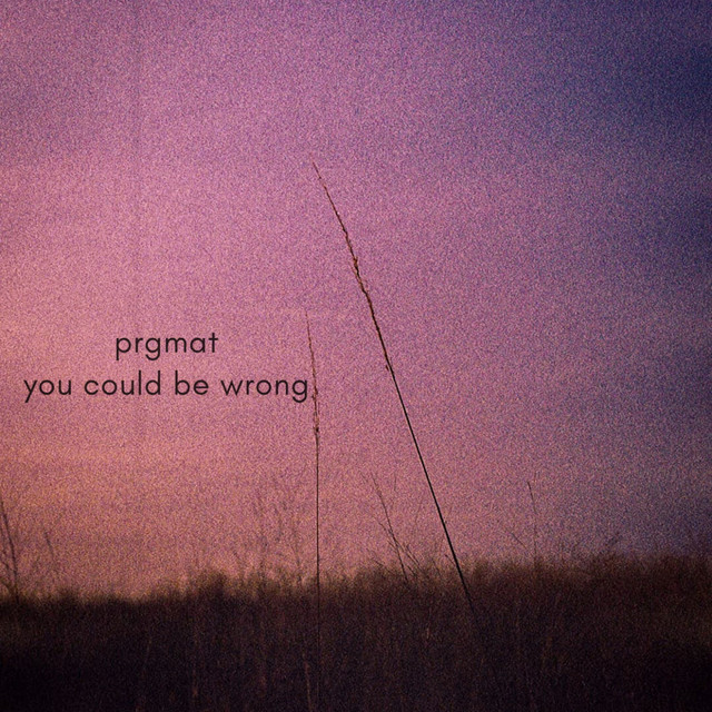 PRGMAT – You Could Be Wrong