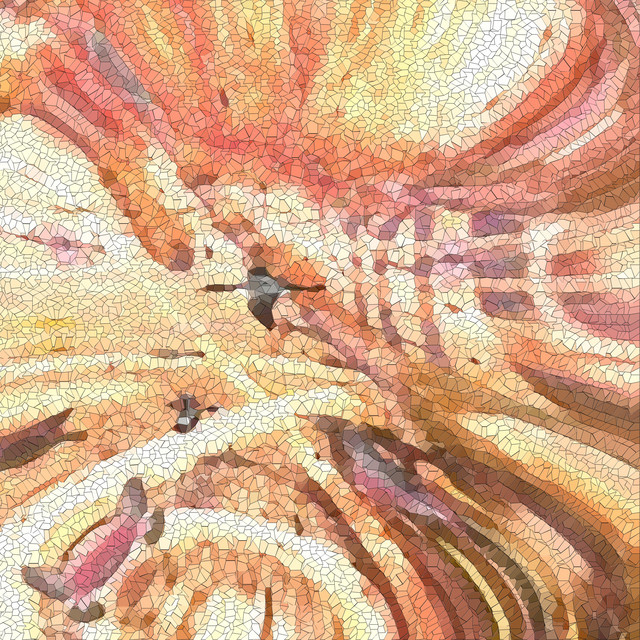 The Mr. White Memorial Orchestra, Vol. 4 cover