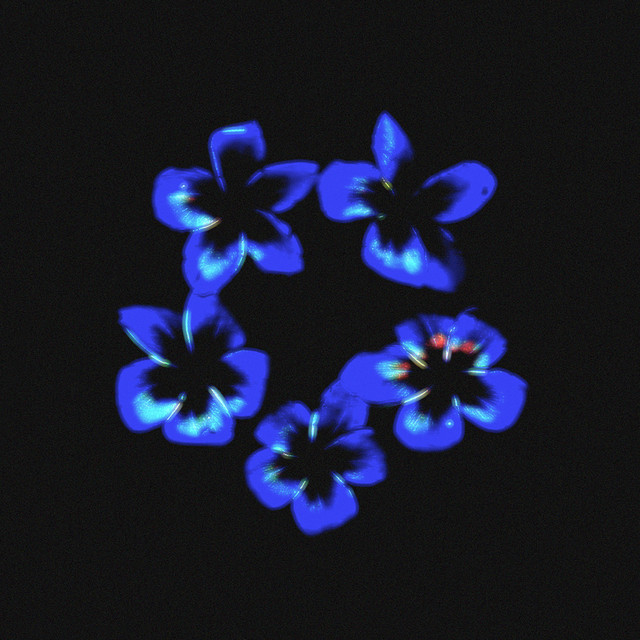 Cotia cover art