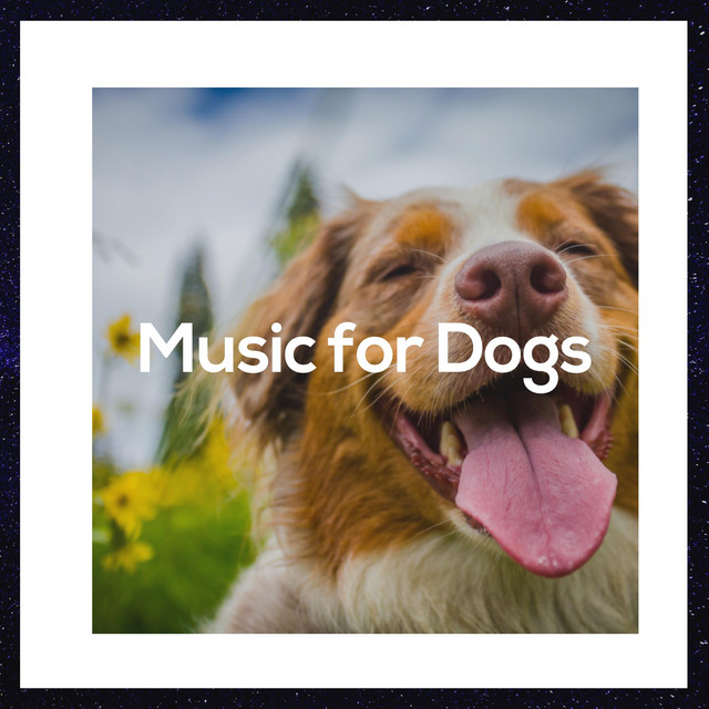 Relaxing Music for Dogs: Soothing Music for Dogs cover art