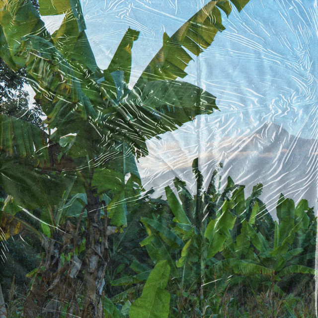 Back home cover art