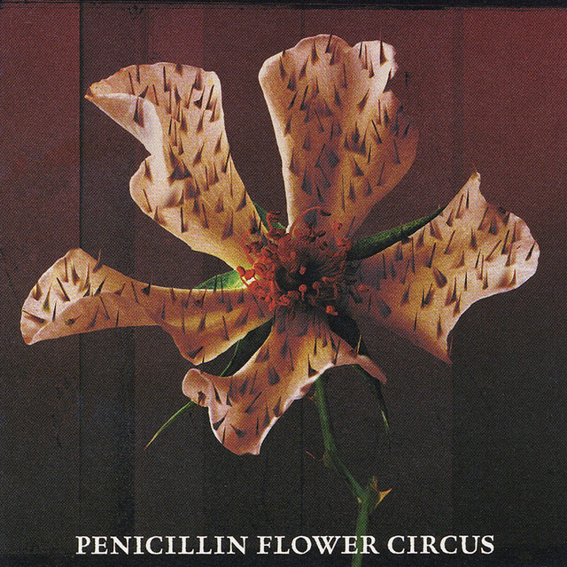 FLOWER CIRCUS cover art