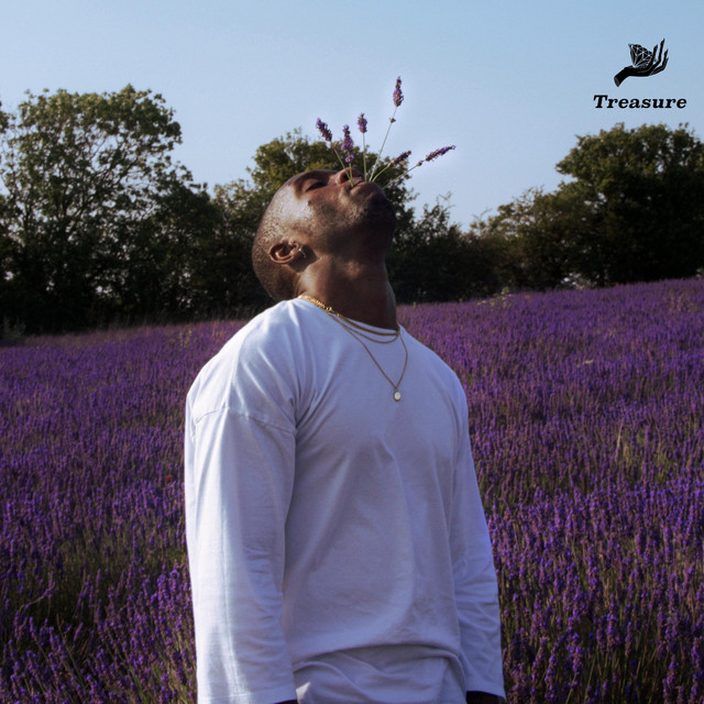 Treasure cover art