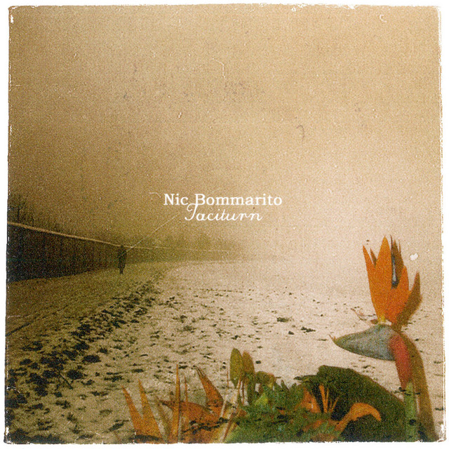 Taciturn cover