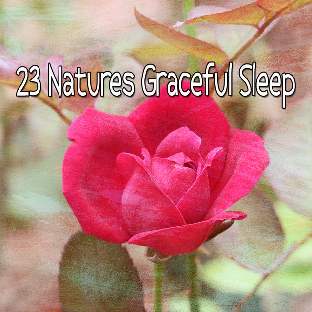 23 Natures Graceful Sleep - Album by Sleep Sounds of Nature | Spotify