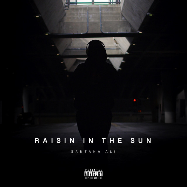 RAISIN IN THE SUN cover