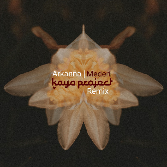 Mederi (Kaya Project Remix) cover
