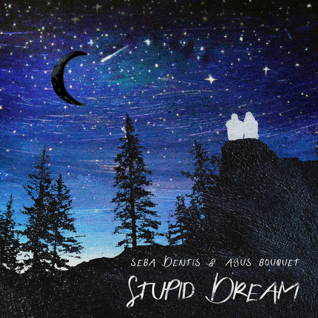Stupid Dreams