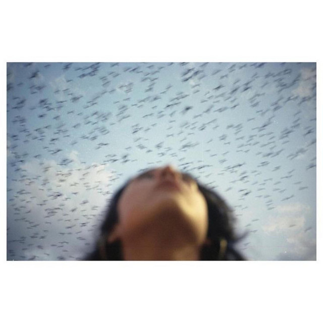 Skies