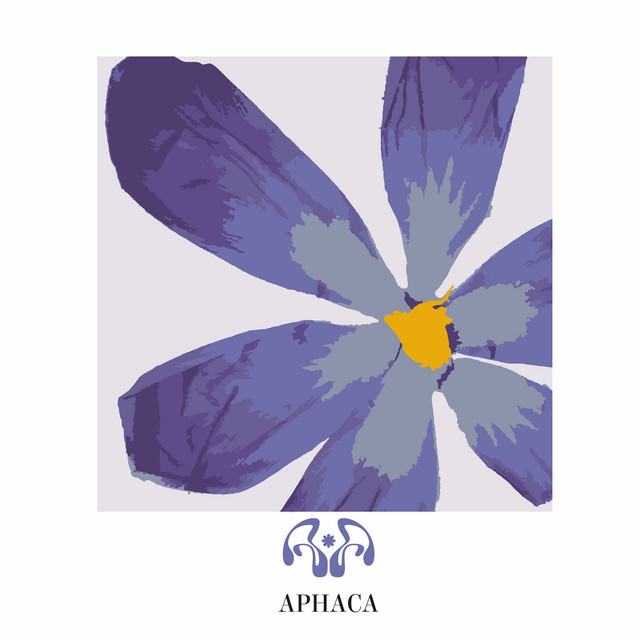 APHACA123